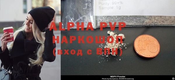 гашик Мегион
