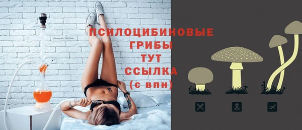 МДПВ Михайлов