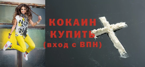молекула духа Медвежьегорск