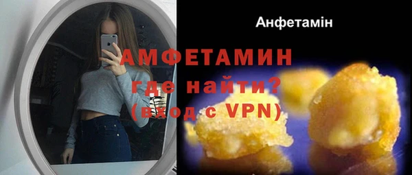 молекула духа Медвежьегорск
