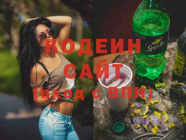 гашик Мегион