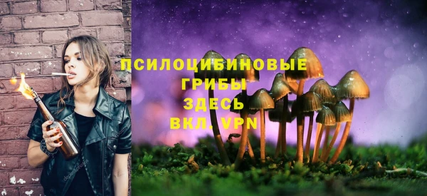 гашик Мегион