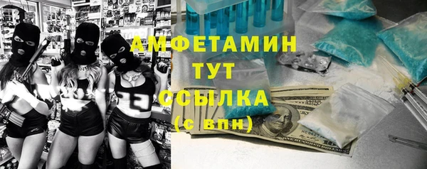 МДПВ Михайлов