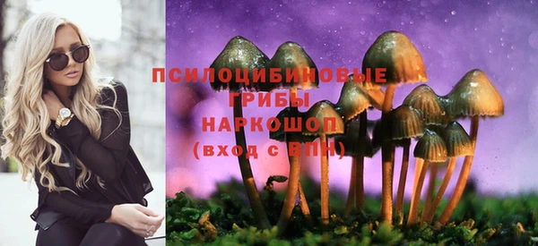 ГАЛЛЮЦИНОГЕННЫЕ ГРИБЫ Михайловка