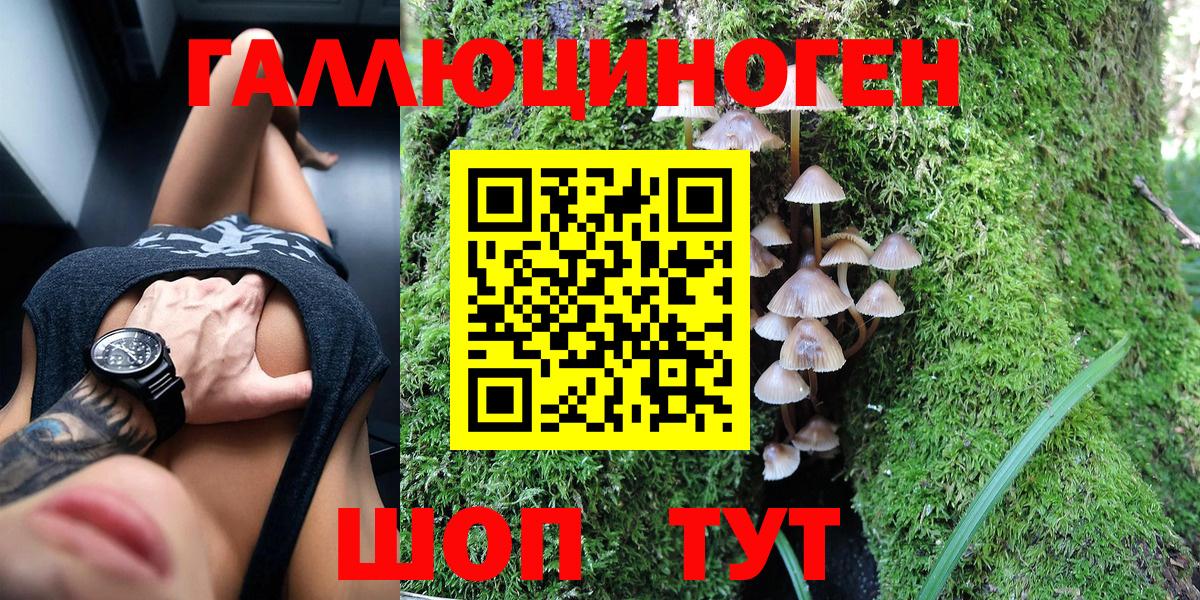 Владикавказ  Галлюциногенные грибы мицелий  Псилоцибиновые грибы Psilocybine cubensis  Вход с VPN 