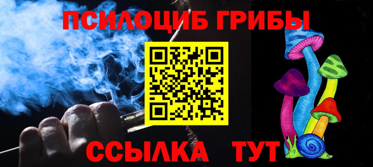 Галлюциногенные грибы Psilocybe Владикавказ